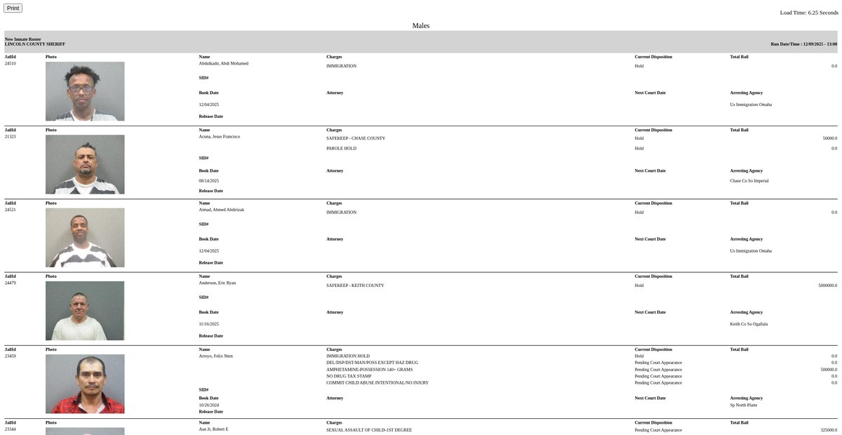 Preview of inmateroster.lincolncountysheriff.us