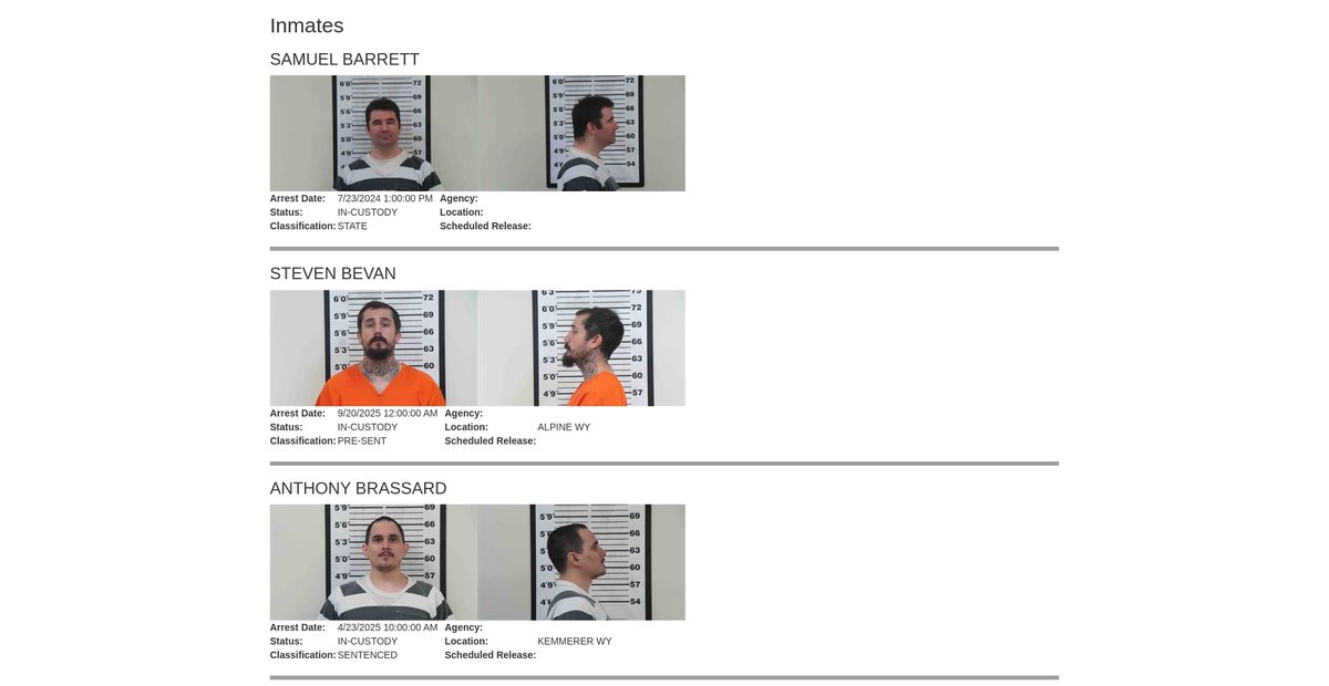 Preview of inmateroster.lcwy.org