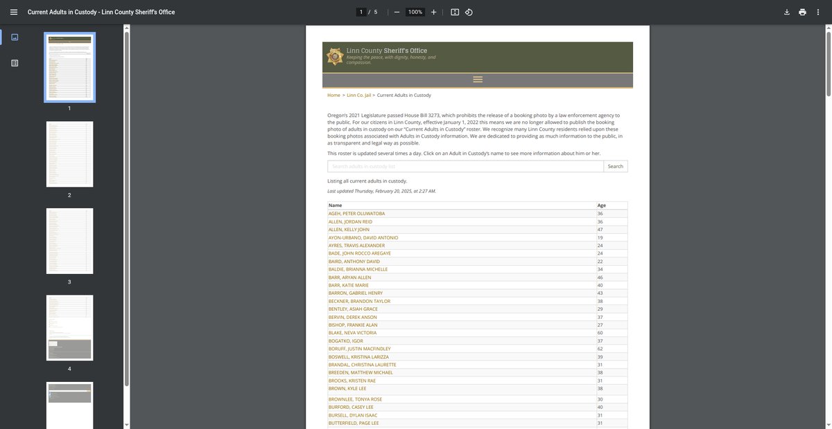 Preview of jailrosters.org