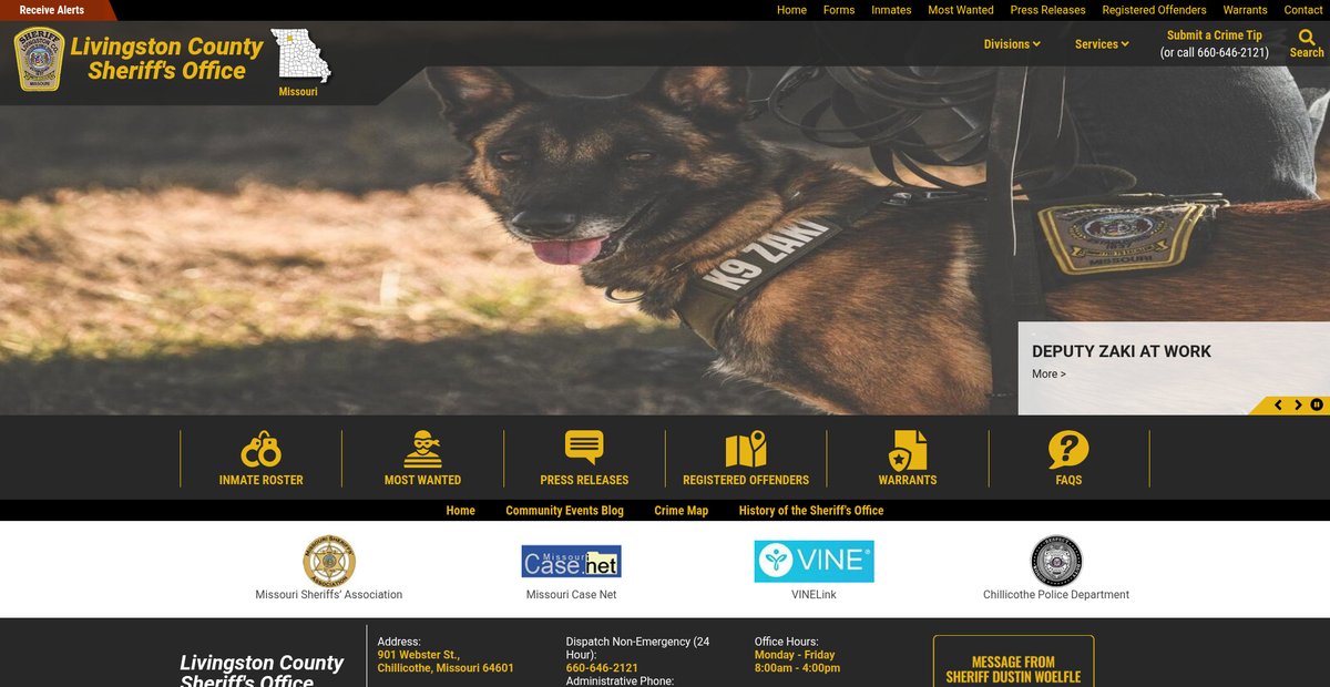 Preview of livcoso.org