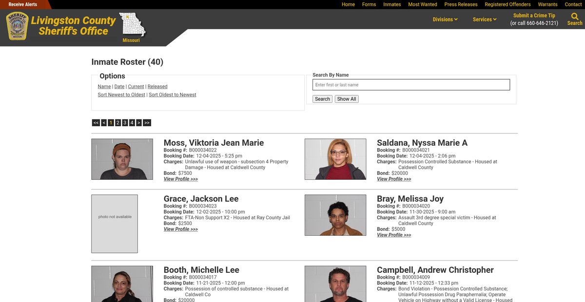 Preview of livcoso.org