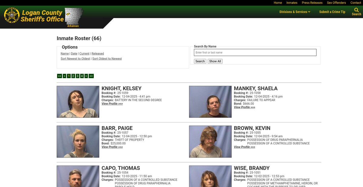 Preview of loganso.com