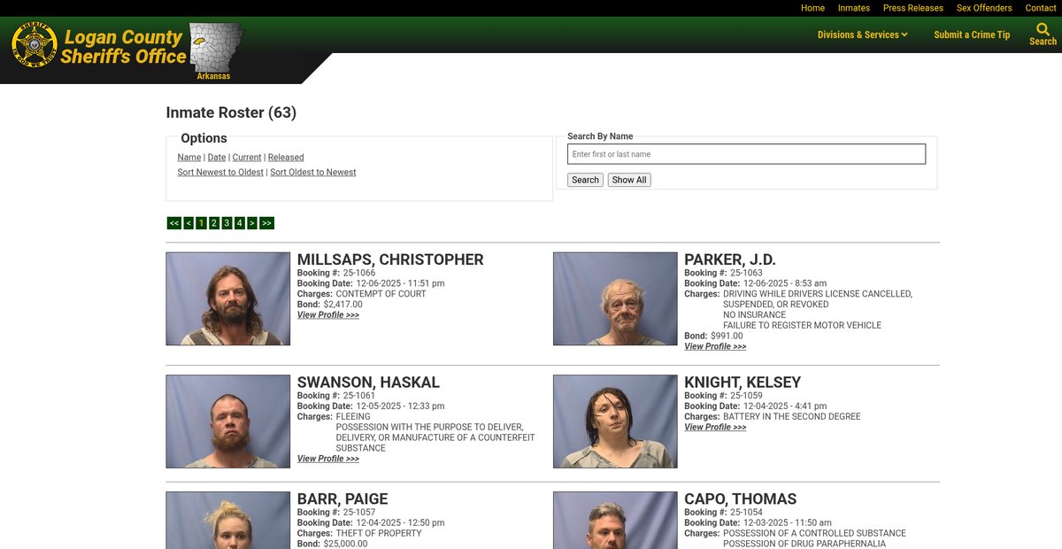 Preview of loganso.com