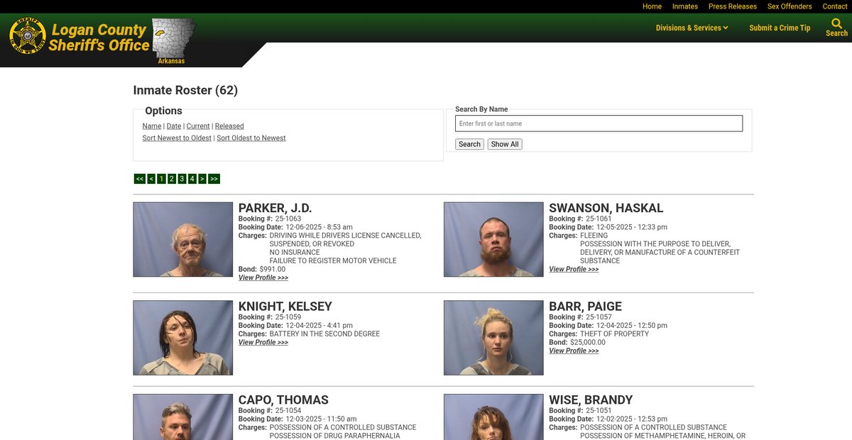Preview of loganso.com