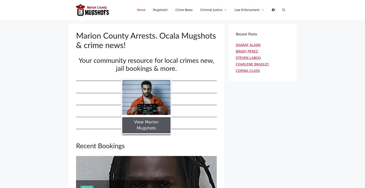 Preview of marionmugshots.com