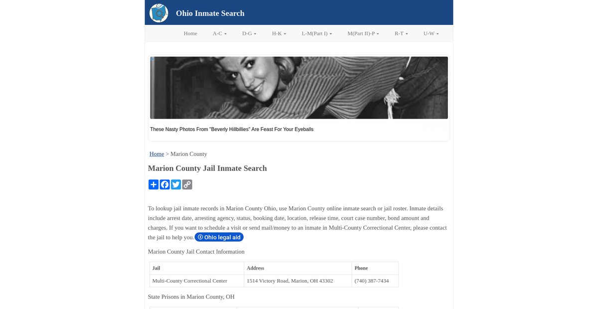 Preview of inmatesearchoh.org