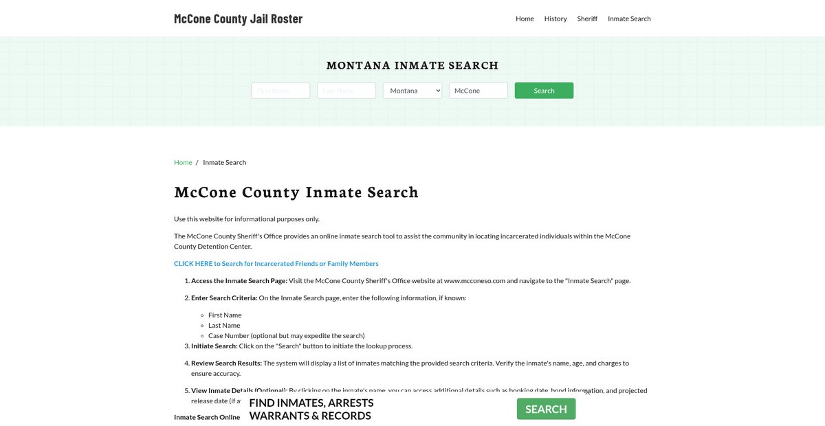 Preview of mcconecountyjail.org
