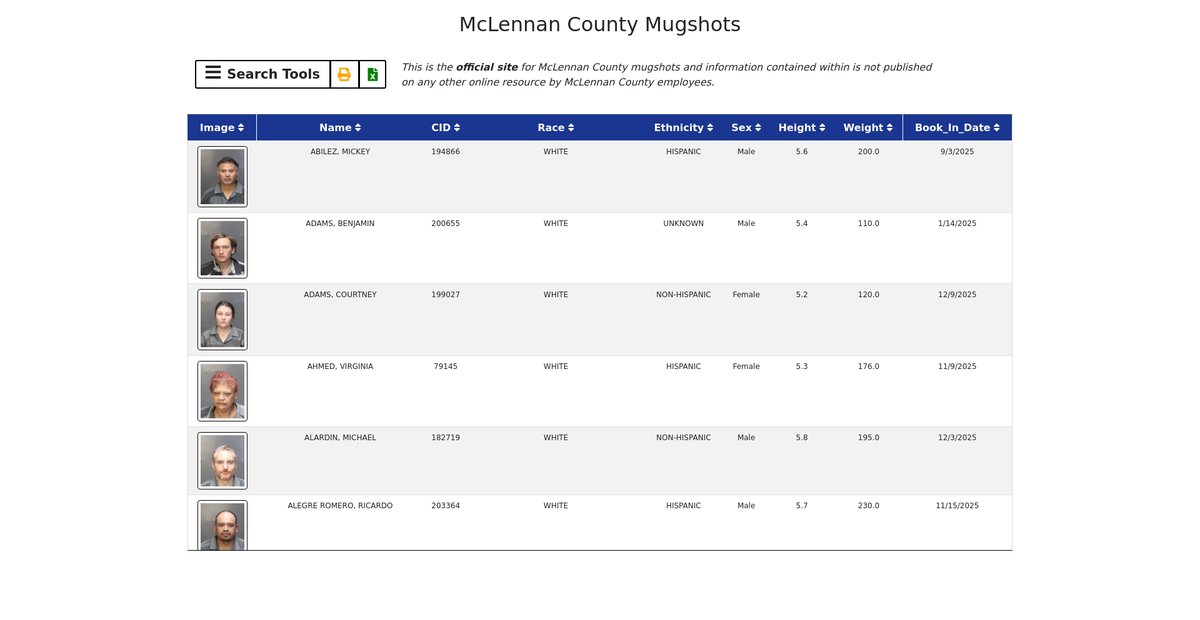 Preview of webapps.co.mclennan.tx.us