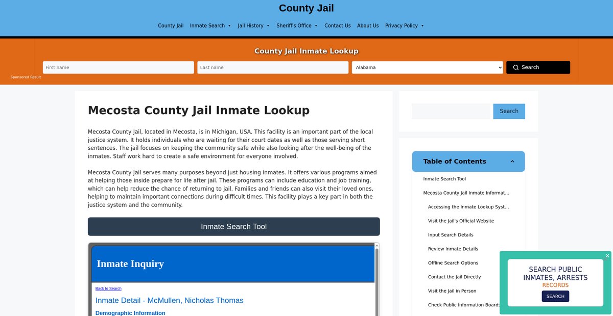 Preview of mecosta.countyjail.org