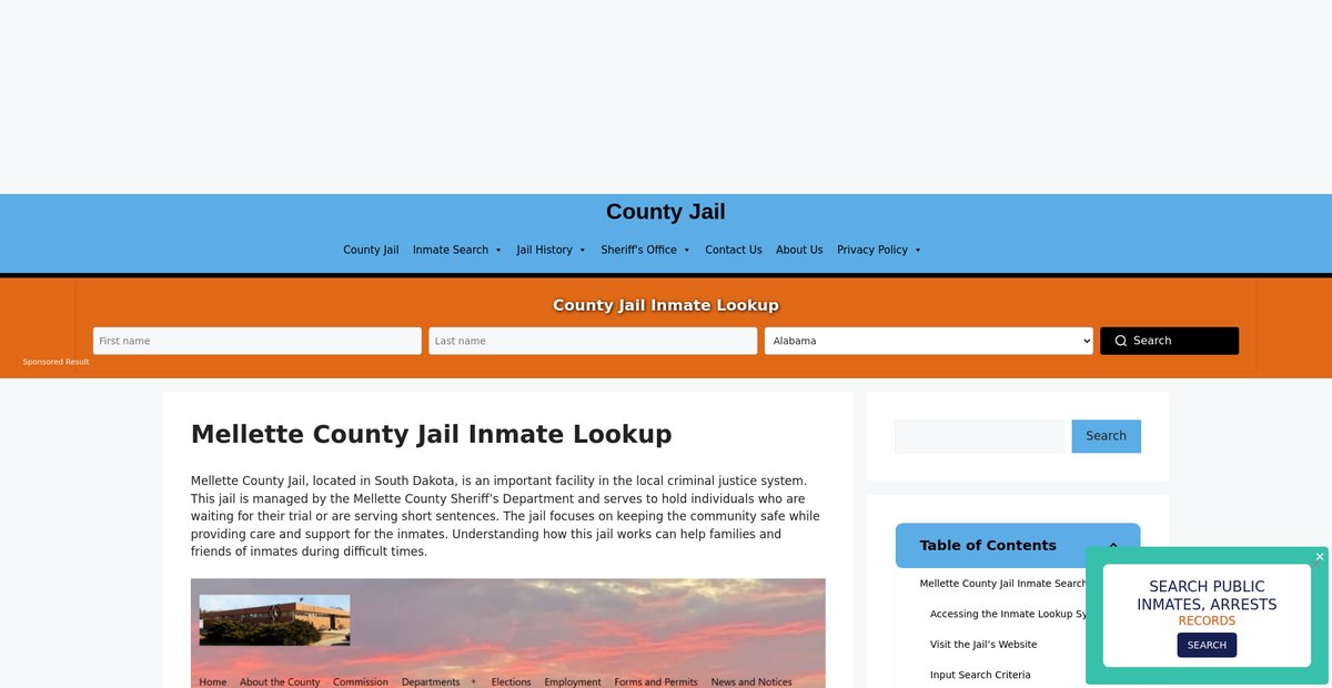 Preview of mellette.countyjail.org