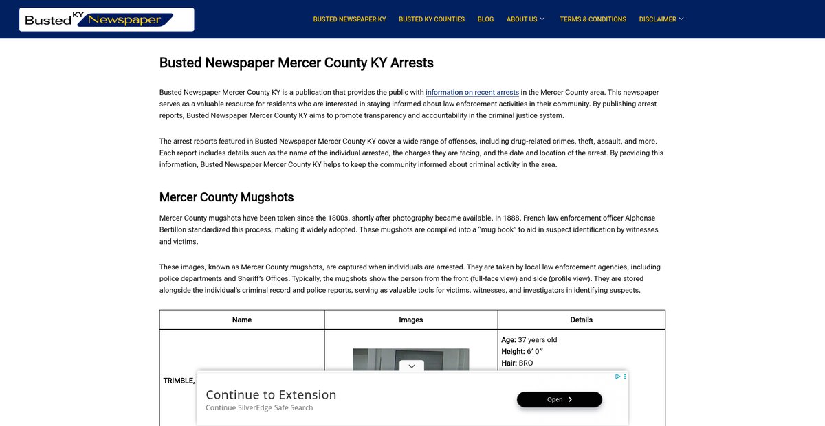 Preview of bustednewspaper-ky.com