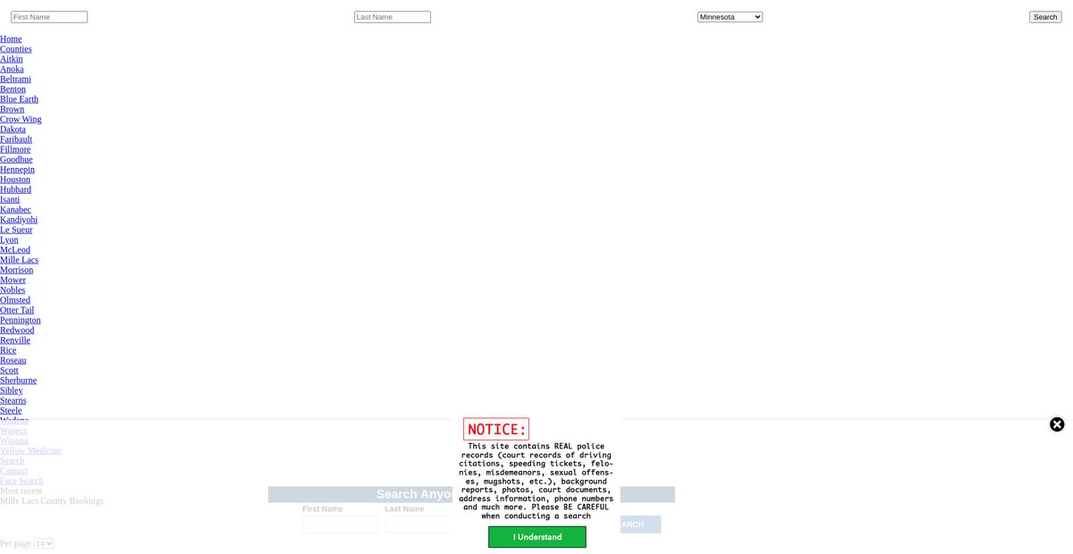 Preview of minnesota.arrests.org