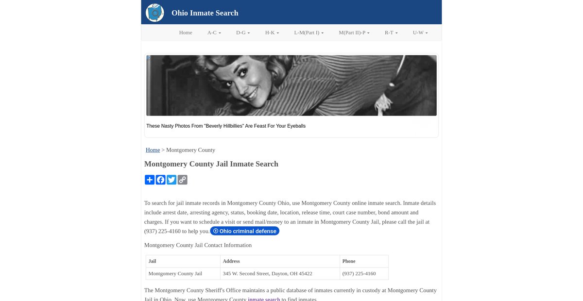 Preview of inmatesearchoh.org