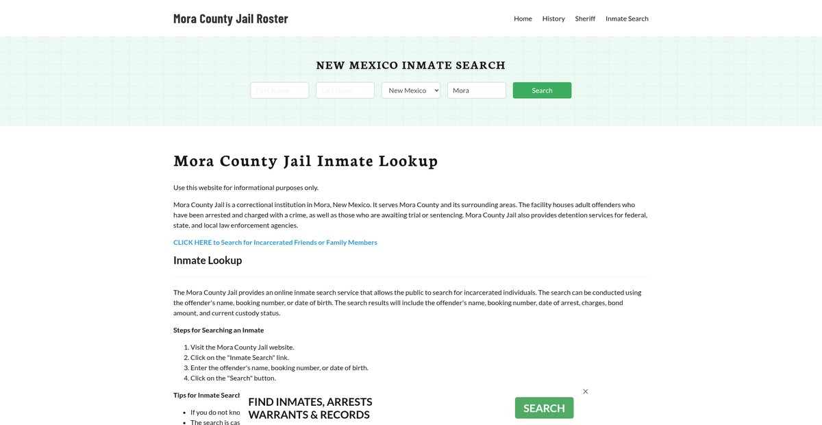 Preview of moracountyjail.org
