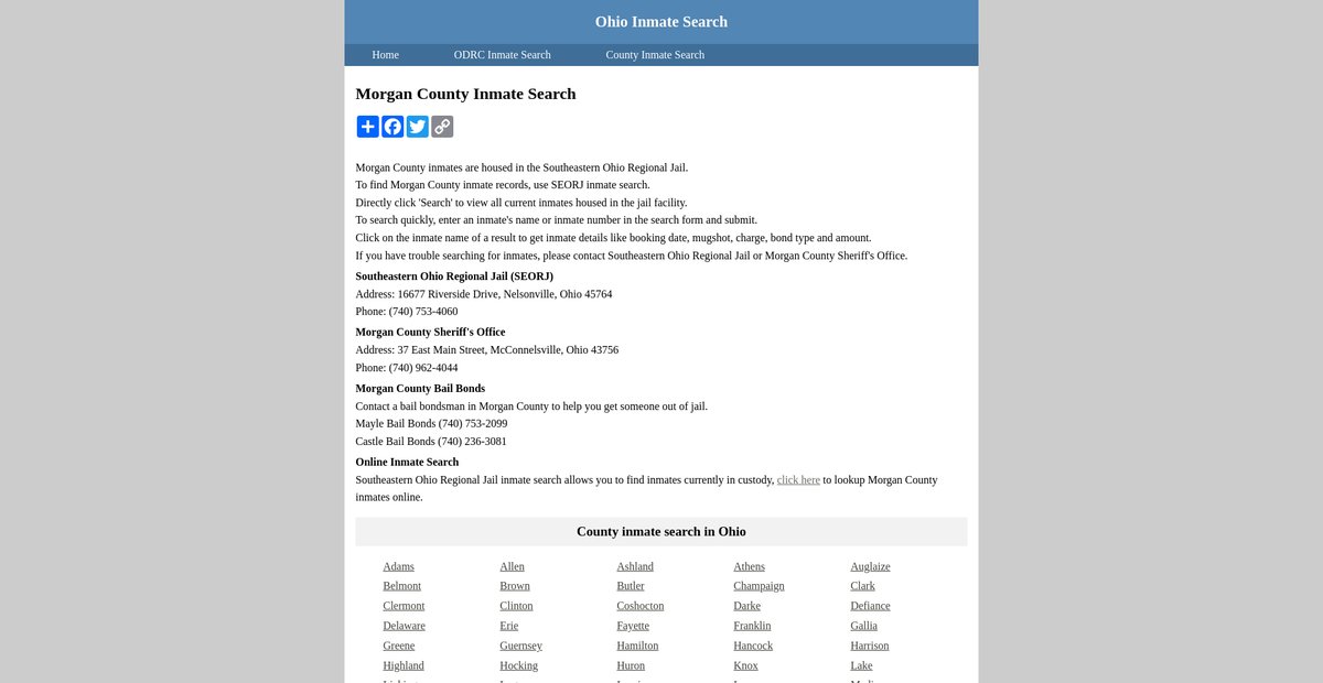 Preview of inmatesearchohio.org