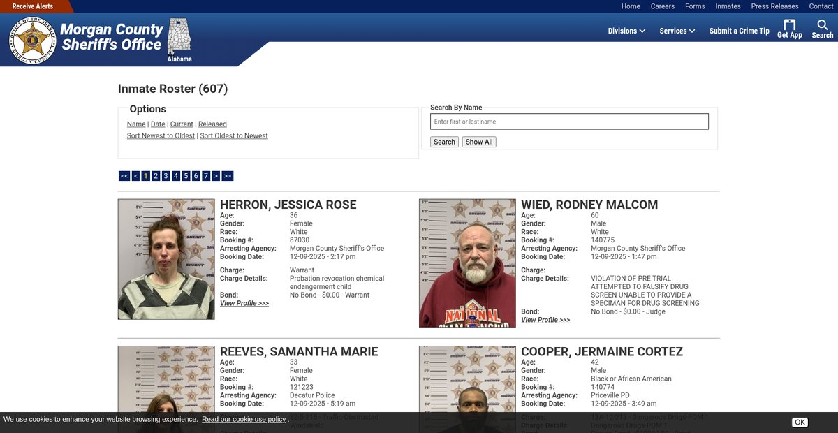 Preview of morgancountysheriffal.gov