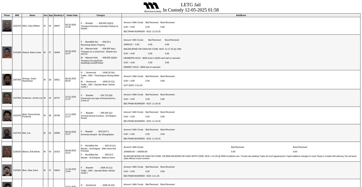 Preview of incustody.morrisoncountymn.gov