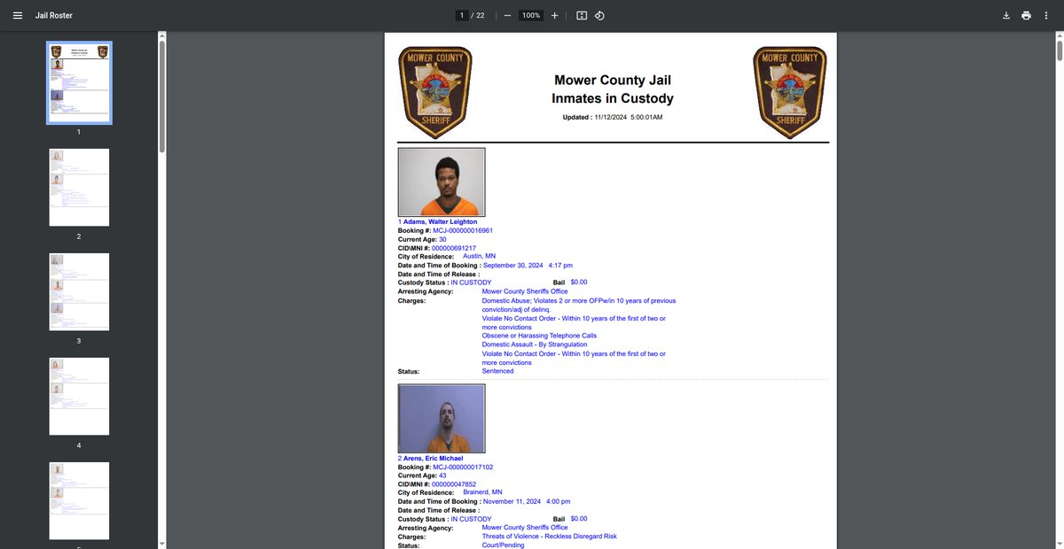 Preview of jailrosters.org