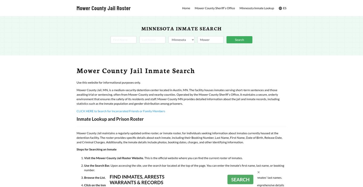 Preview of mowercountyjail.org