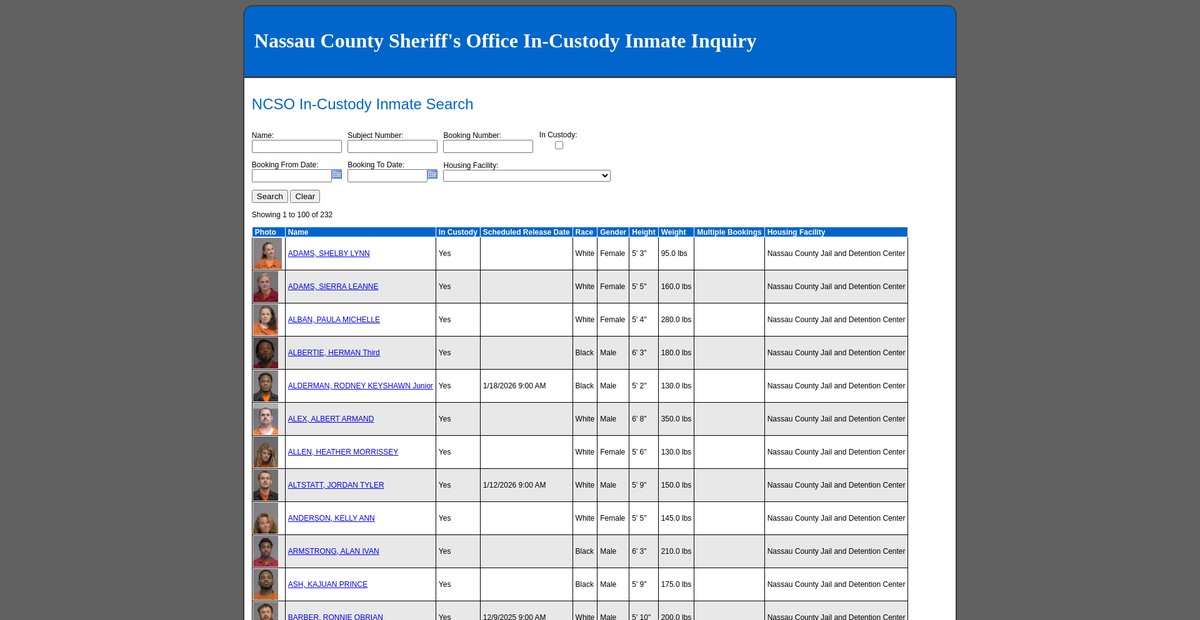 Preview of dssinmate.nassauso.com