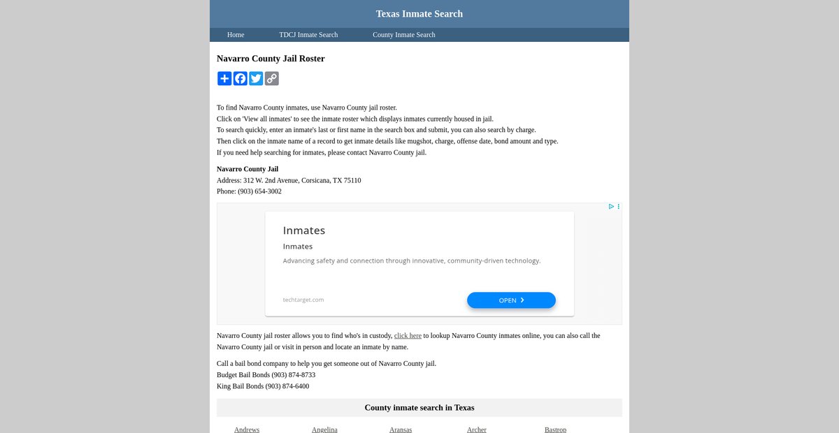 Preview of inmatesearchtexas.org