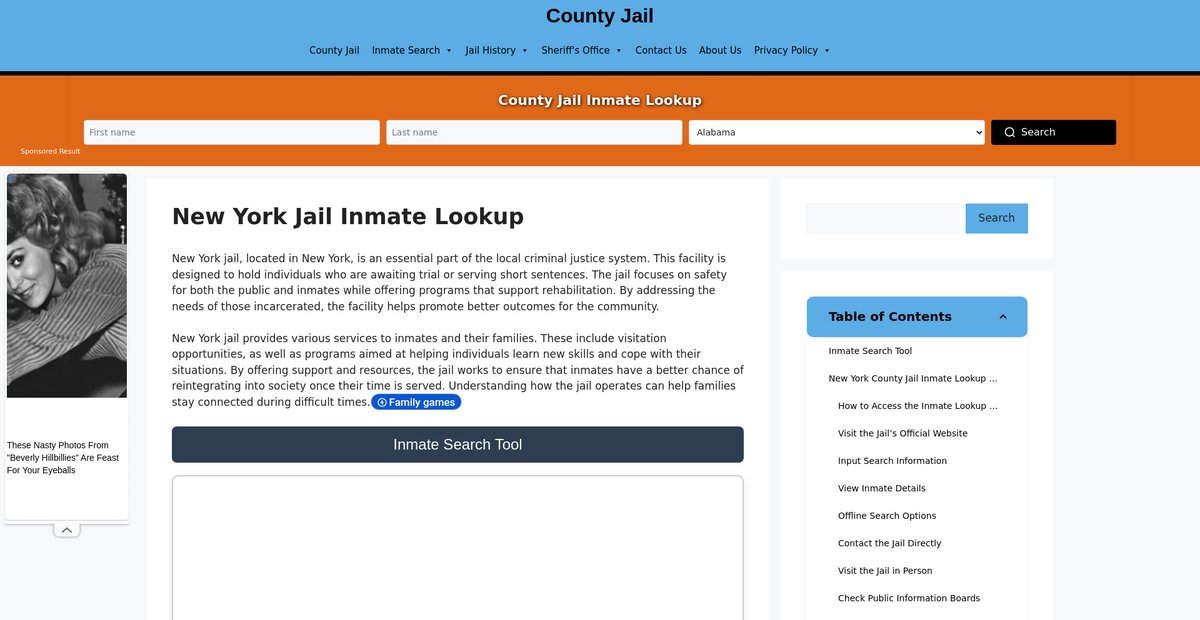 Preview of new-york.countyjail.org