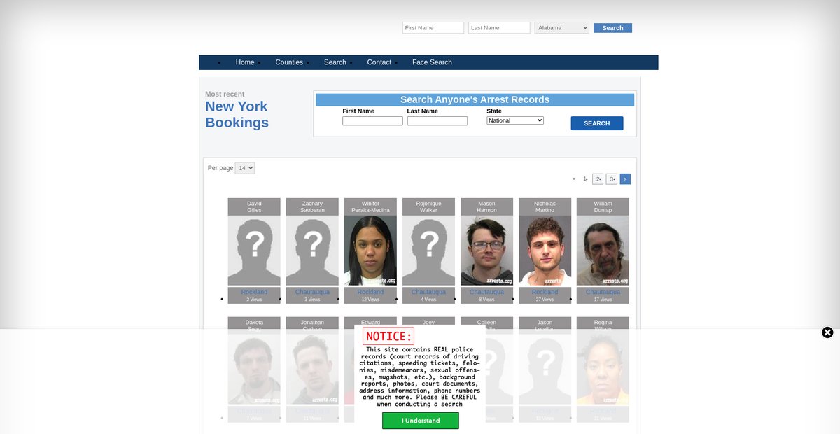 Preview of newyork.arrests.org