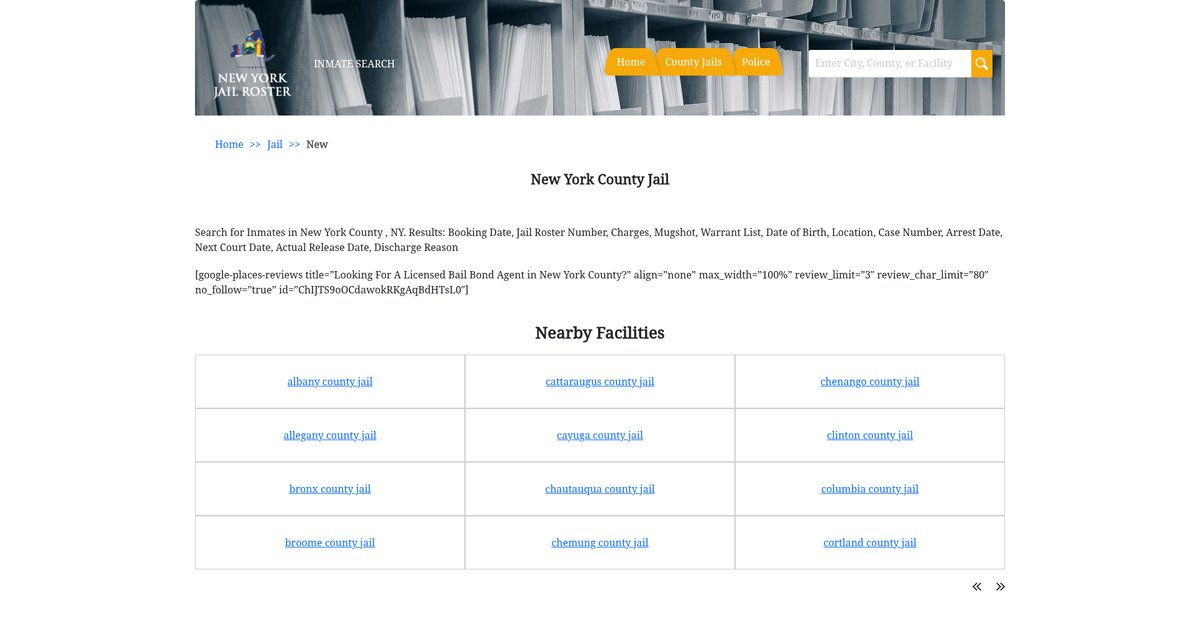 Preview of newyorkjailroster.com