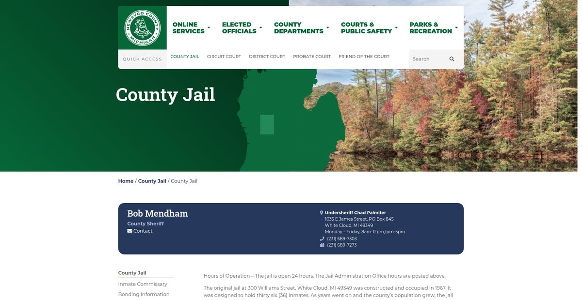 Preview of newaygocountymi.gov