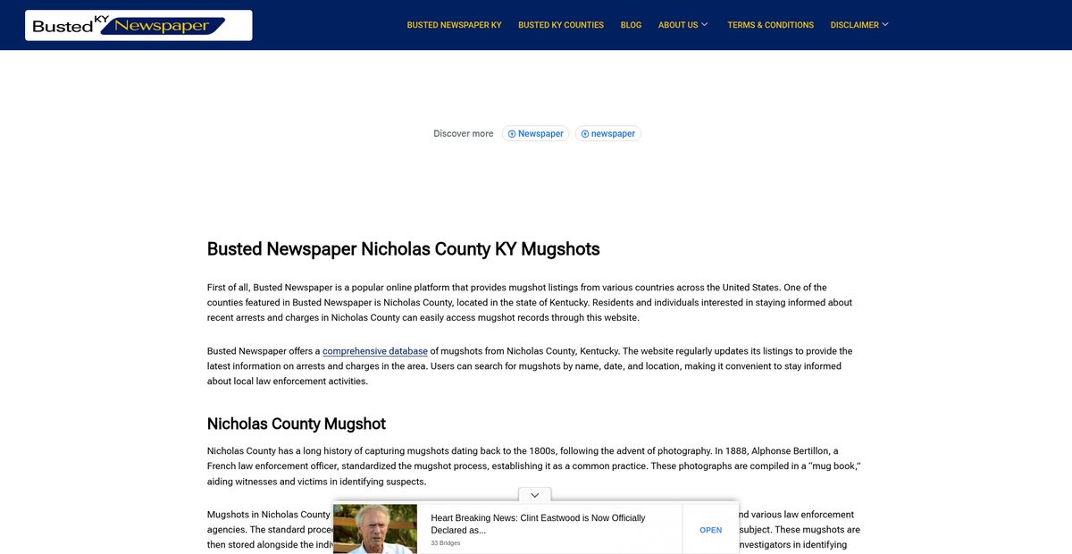 Preview of bustednewspaper-ky.com