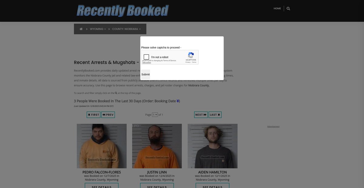 Preview of recentlybooked.com