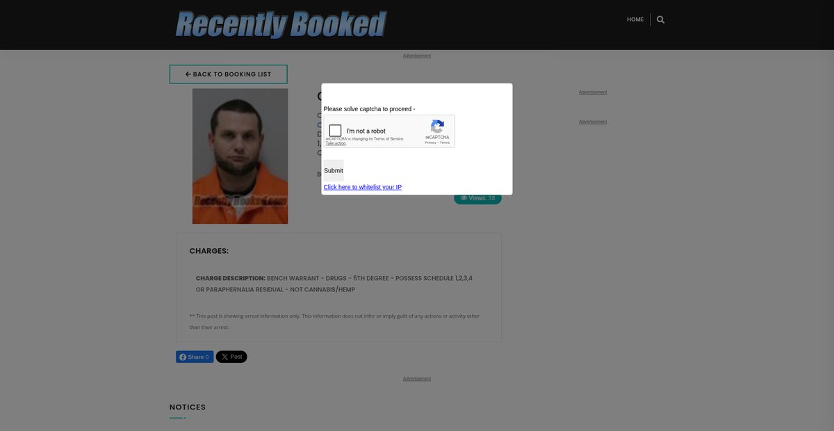 Preview of recentlybooked.com