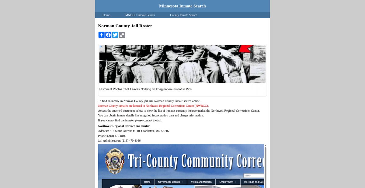 Preview of inmatesearchminnesota.org