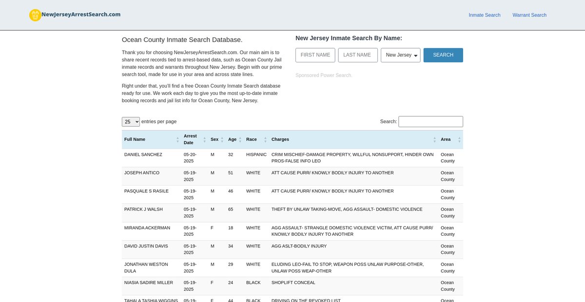 Preview of newjerseyarrestsearch.com