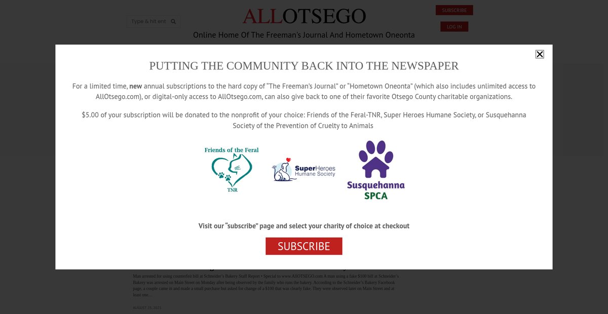 Preview of allotsego.com