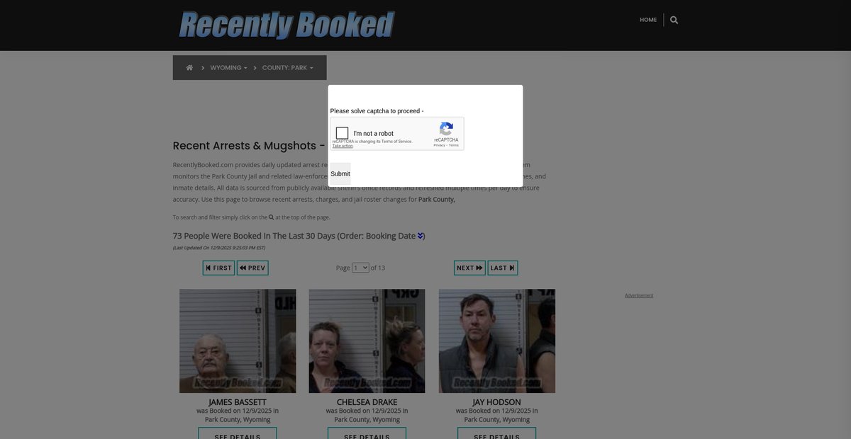 Preview of recentlybooked.com