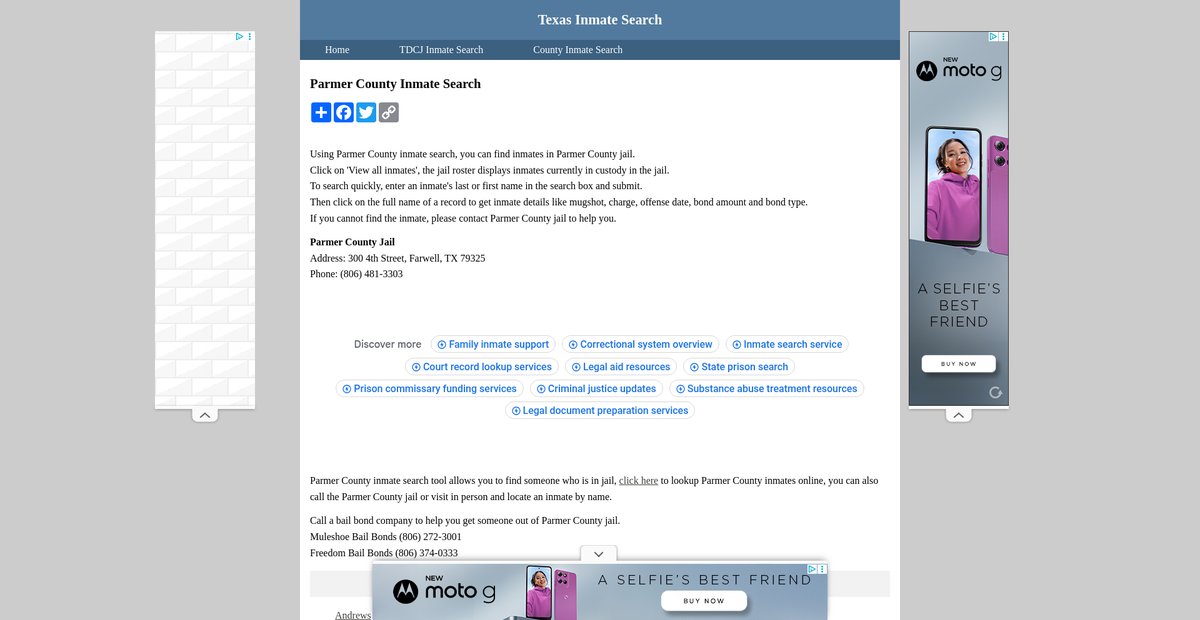 Preview of inmatesearchtexas.org
