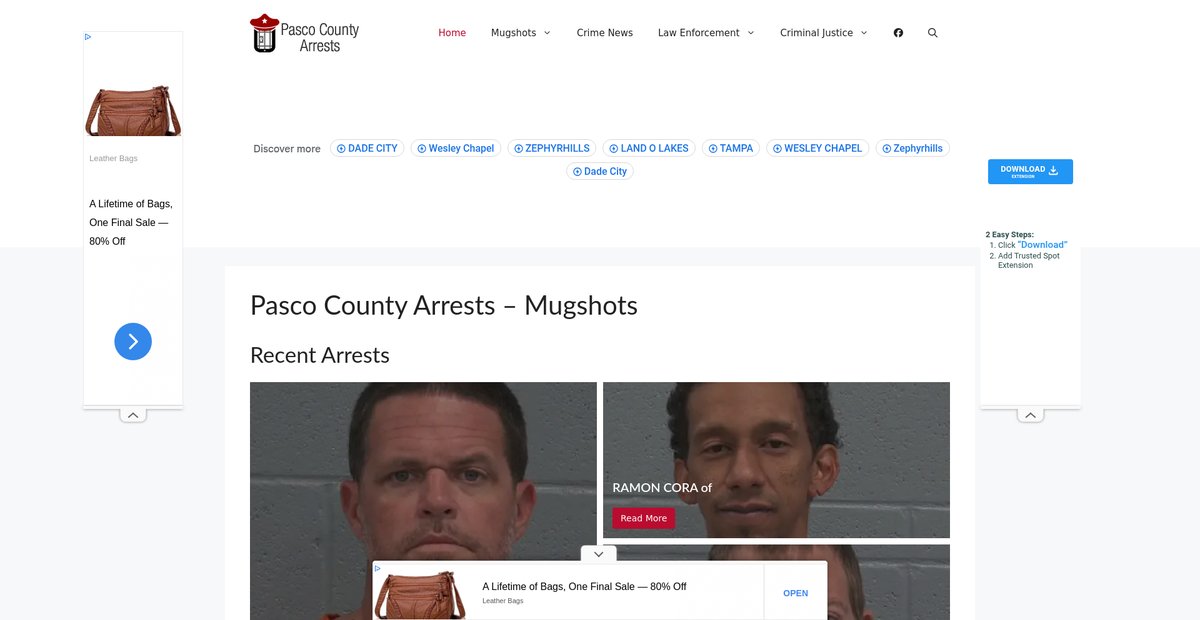 Preview of pascocountyarrests.com