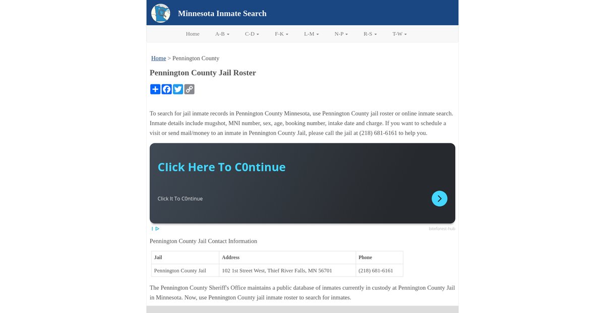 Preview of inmatesearchmn.org