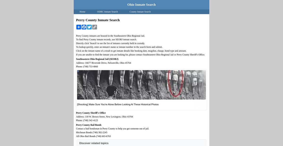 Preview of inmatesearchohio.org