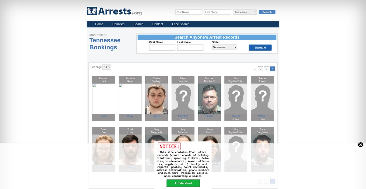 Preview of tennessee.arrests.org