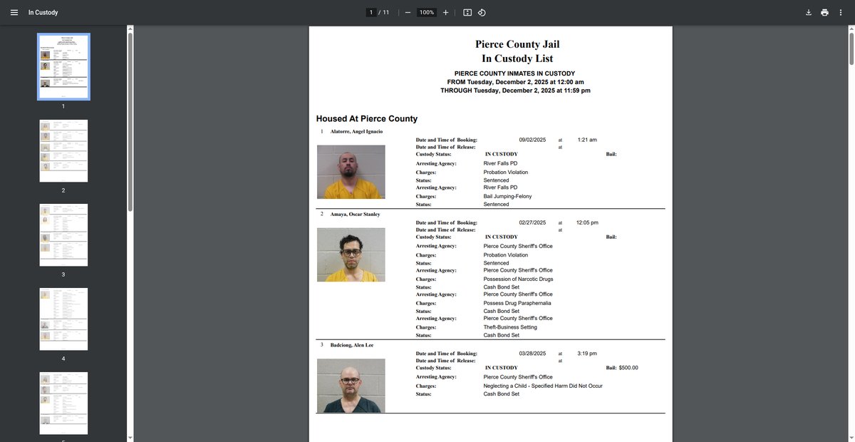 Preview of internal.co.pierce.wi.us