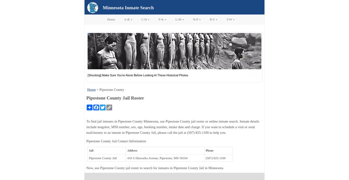 Preview of inmatesearchmn.org