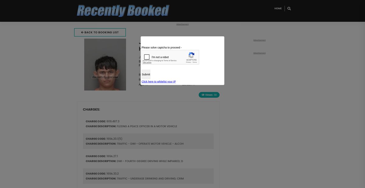 Preview of recentlybooked.com