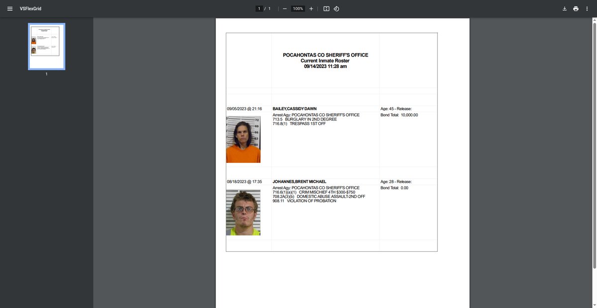 Preview of pocahontascounty.iowa.gov