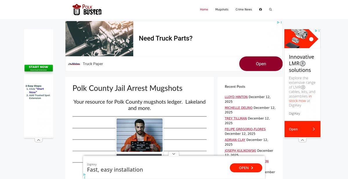 Preview of polkbusted.com