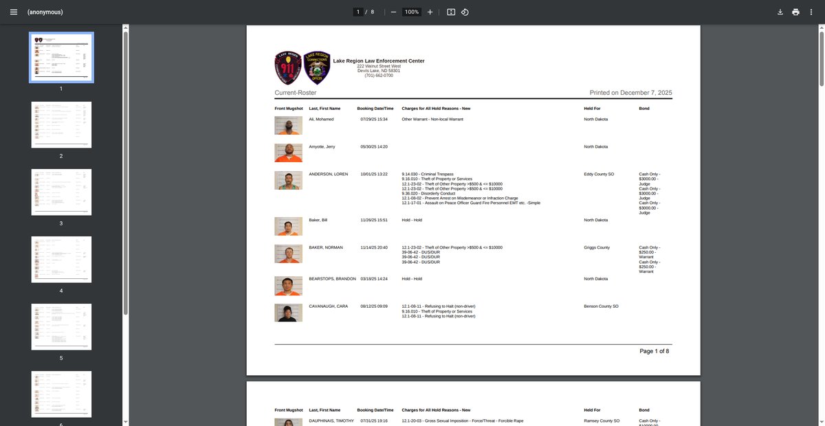 Preview of lrlec.org