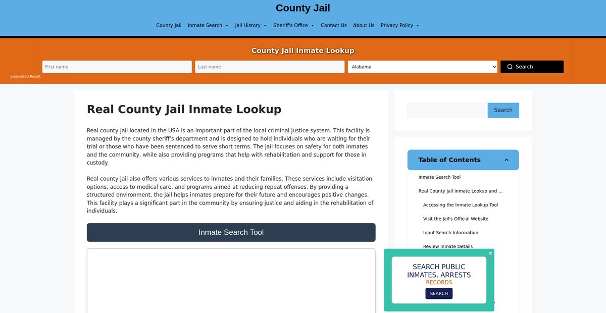 Preview of real-county.countyjail.org