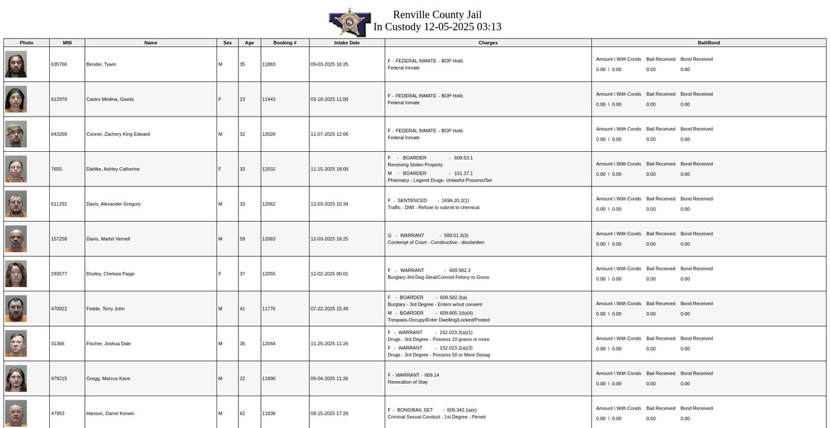 Preview of custody.renvillecountymn.gov