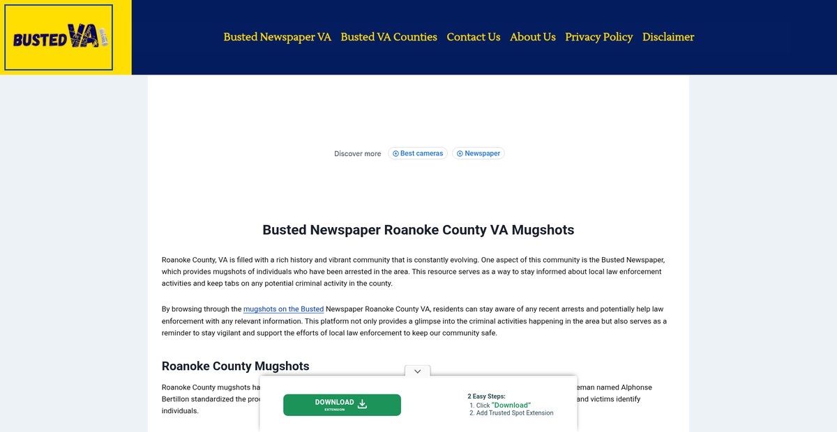 Preview of bustednewspaper-va.com